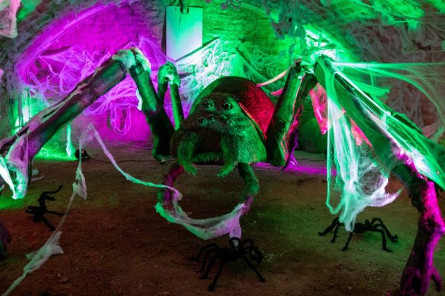 Une araignée géante accueillait les curieux. • © Louben Prévost